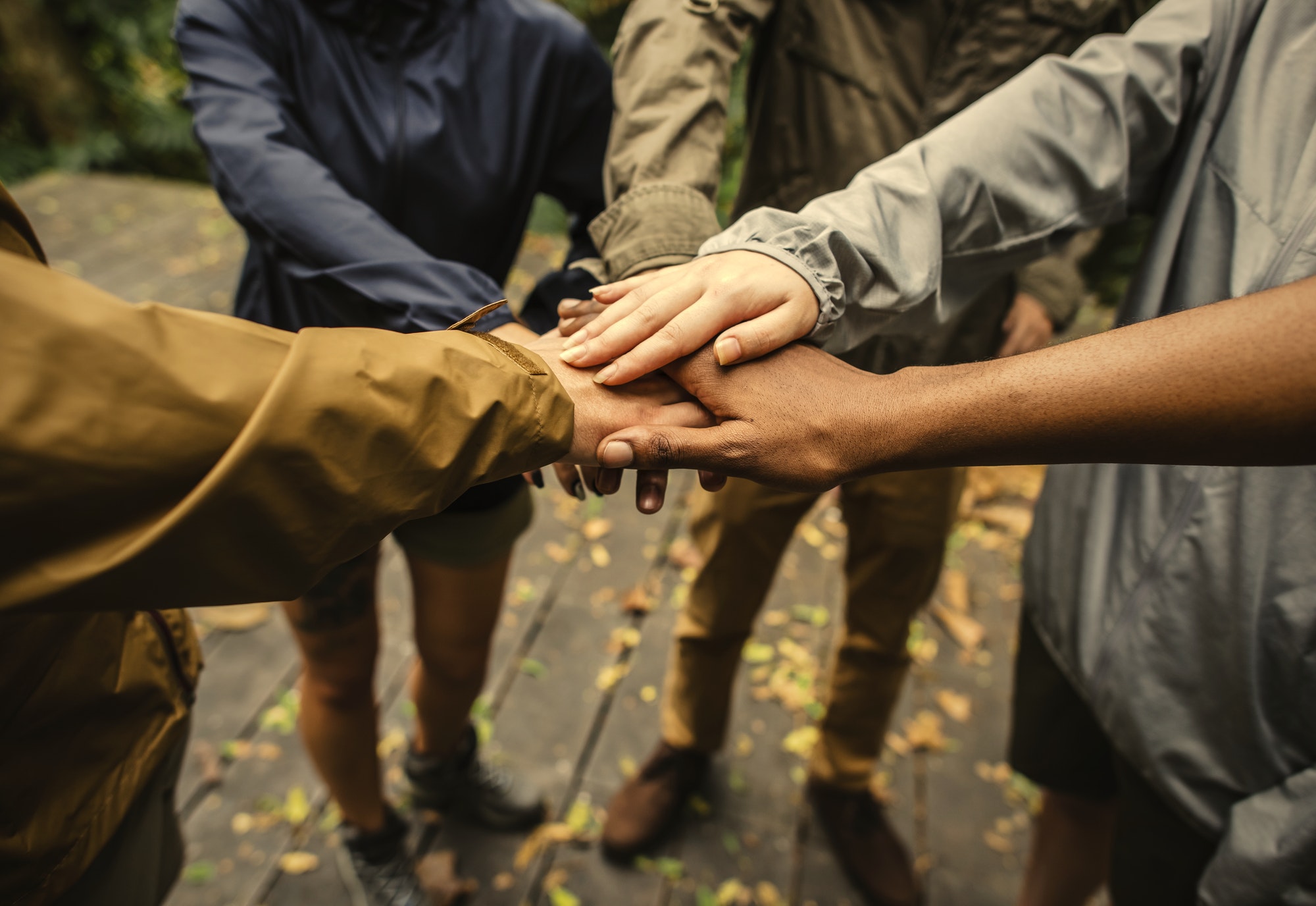 Team building outdoor in the forest
